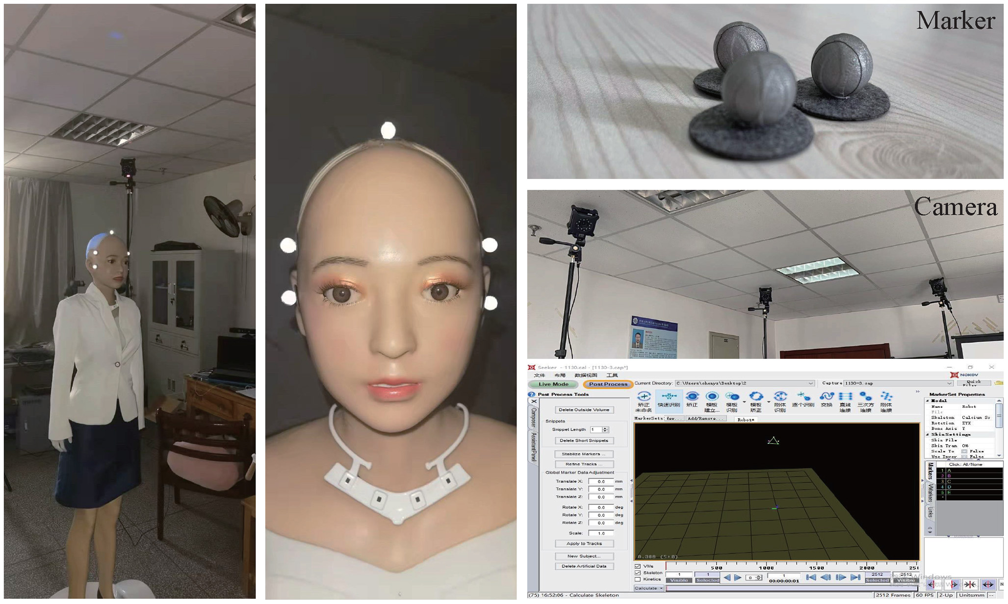 Motion Analysis & Sim-to-Real Validation