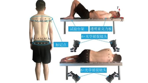 A subject demonstrates the process of human supine turning experiment