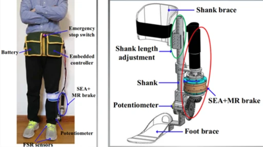 A subject wearing an ankle brace and the introduction of an ankle brace