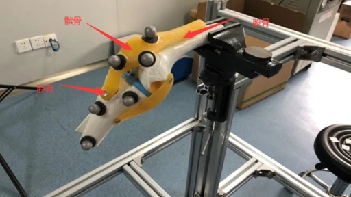 Knee joint model with markers