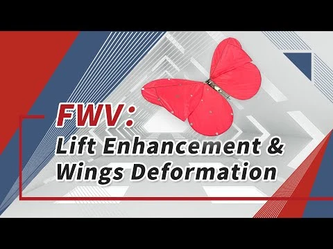 Lift Enhancement & Wings Deformation